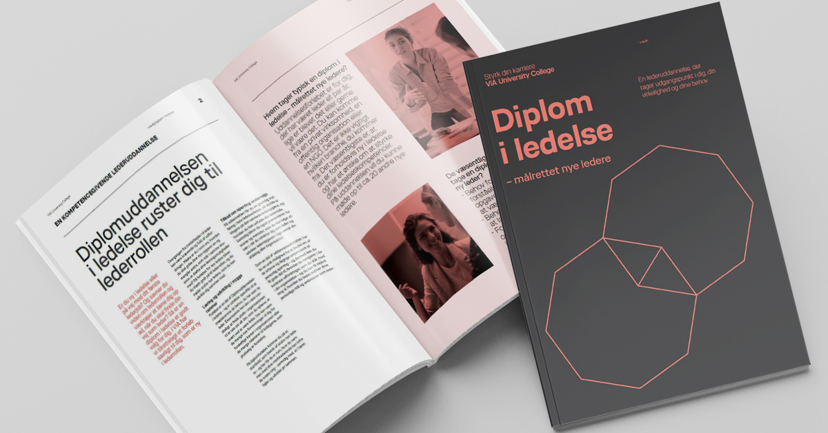 Brochure Om Diplom I Ledelse - Målrettet Nye Ledere | Alt Du Skal Vide