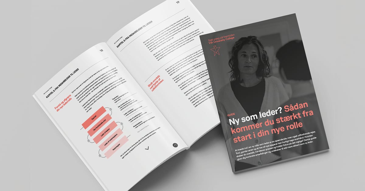 guide-den-nye-leder-mockup